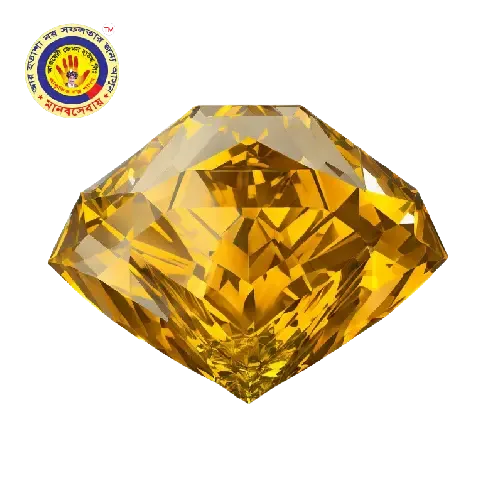 যে সব রাশির জন্য সিট্রিন পাথর ব্যহার করা উত্তম