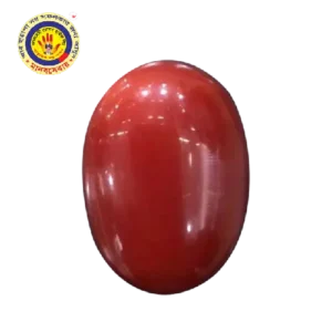 Red Coral Stone Price in Bangladesh for Gemstone Enthusiasts