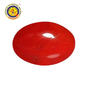 Red Coral Stone Price in Bangladesh for Gemstone Enthusiasts