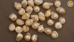 Read more about the article মুক্তা পাথর (Pearl Stone): গঠন, প্রকারভেদ, ধর্মীয় গুরুত্ব ও উপকারিতা